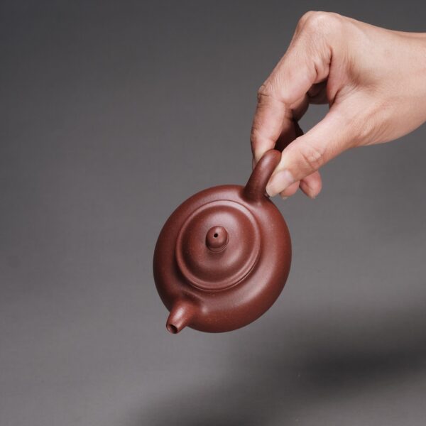  Oval Lotus Seed