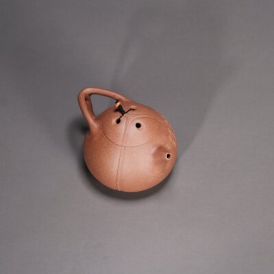 Coconut Ladle