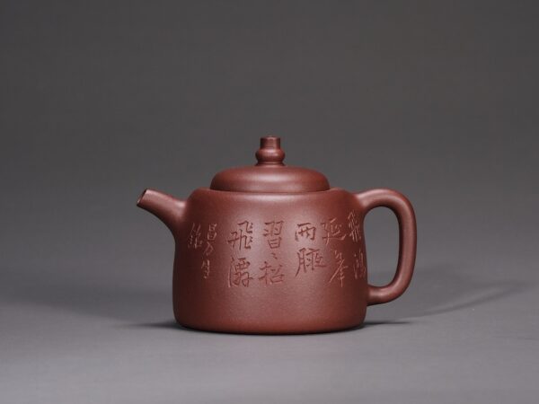 Mansheng Feihong Yannian