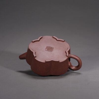 Hidden Dragon Plum Blossom
