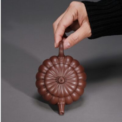 Dabin Chrysanthemum Petal