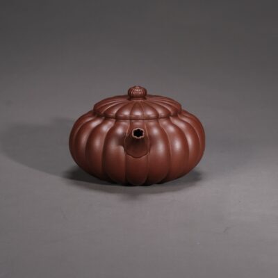 Dabin Chrysanthemum Petal