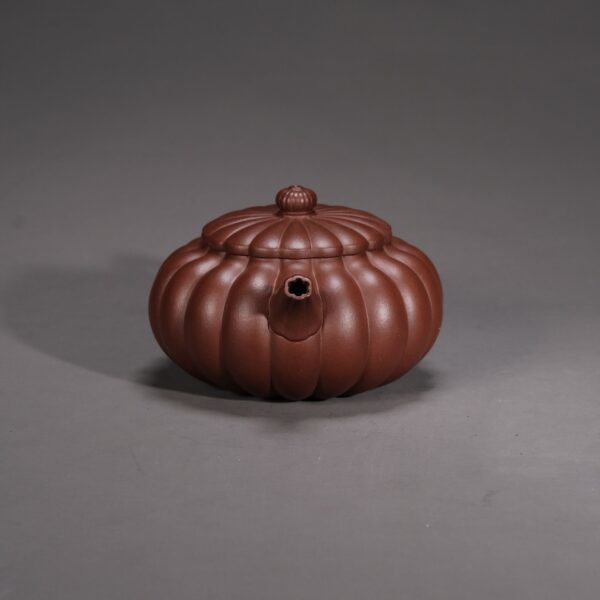 Dabin Chrysanthemum Petal