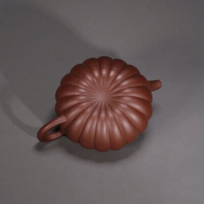 Dabin Chrysanthemum Petal