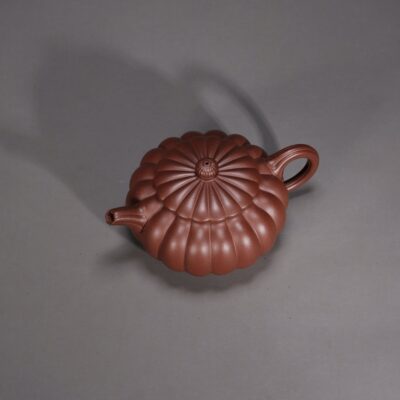 Dabin Chrysanthemum Petal