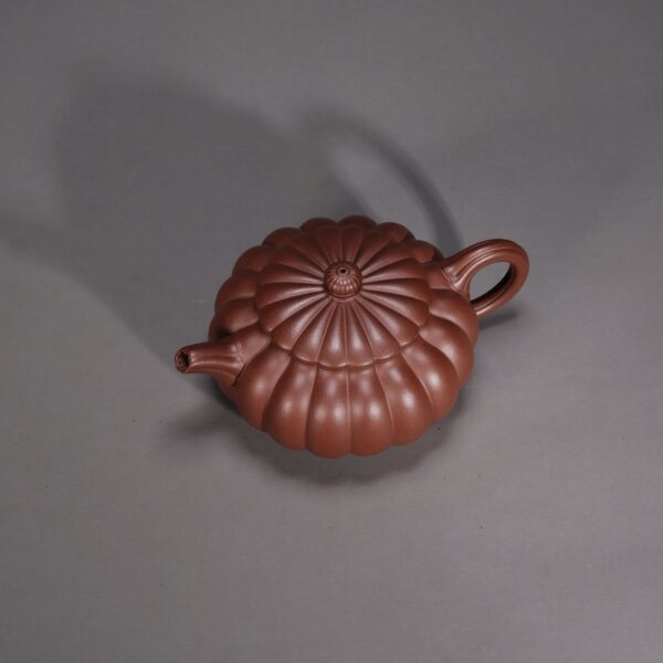 Dabin Chrysanthemum Petal